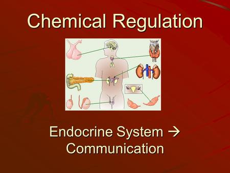 Chemical Regulation Endocrine System  Communication.