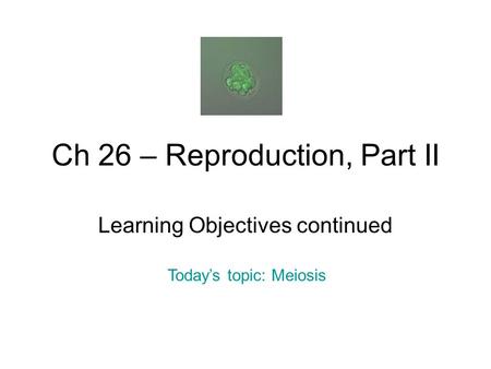 Ch 26 – Reproduction, Part II Learning Objectives continued Today’s topic: Meiosis.