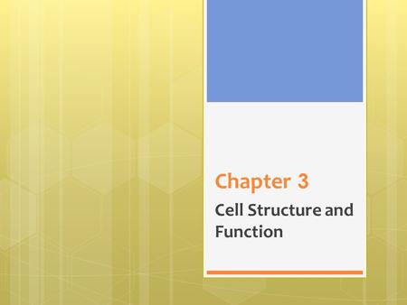 Cell Structure and Function