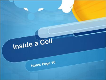 Inside a Cell Notes Page 16. Very early on, the people studying cells knew that cells have a great diversity of sizes and shapes. As microscopes were.