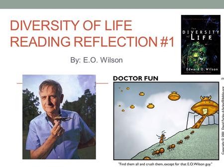 DIVERSITY OF LIFE READING REFLECTION #1 By: E.O. Wilson.