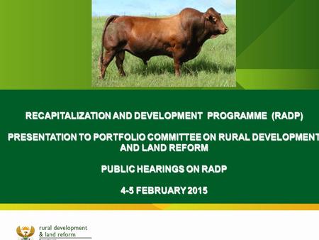 RECAPITALIZATION AND DEVELOPMENT PROGRAMME (RADP)