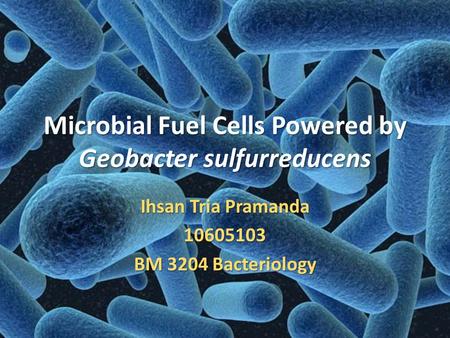 Microbial Fuel Cells Powered by Geobacter sulfurreducens