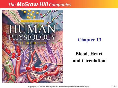 Copyright © The McGraw-Hill Companies, Inc. Permission required for reproduction or display. Chapter 13 Blood, Heart and Circulation 13-1.