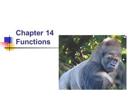 Chapter 14 Functions.