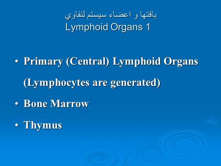 بافتها و اعضاء سيستم لنفاوي Lymphoid Organs 1 Primary (Central) Lymphoid OrgansPrimary (Central) Lymphoid Organs (Lymphocytes are generated) Bone MarrowBone.