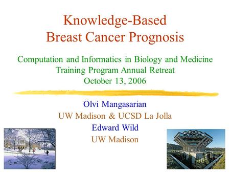 Knowledge-Based Breast Cancer Prognosis Olvi Mangasarian UW Madison & UCSD La Jolla Edward Wild UW Madison Computation and Informatics in Biology and Medicine.