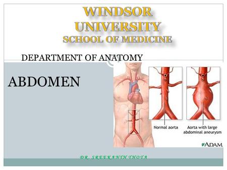 WINDSOR UNIVERSITY SCHOOL OF MEDICINE