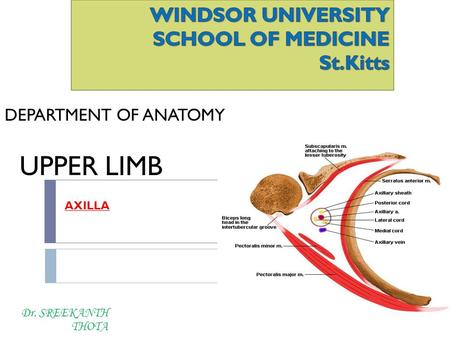 WINDSOR UNIVERSITY SCHOOL OF MEDICINE St.Kitts