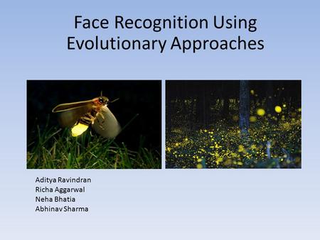 Face Recognition Using Evolutionary Approaches