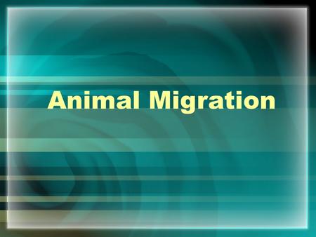 Animal Migration.