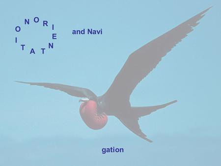 And Navi R O E I N AT T O I N gation. Orientation: The state of knowing your location Navigation: The state of knowing how to move from your present location.