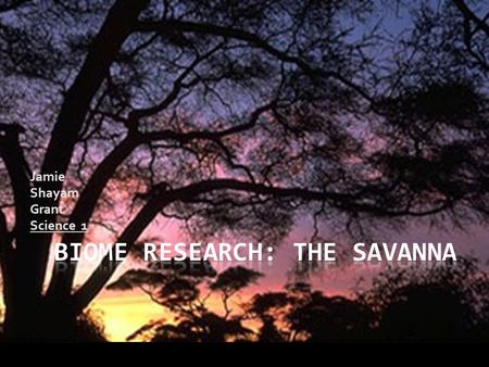 Jamie Shayam Grant Science 1 The Savanna biome has a climate in which the temperatures outside range anywhere from 20°C (68°F) to 30°C (86°F). As you.