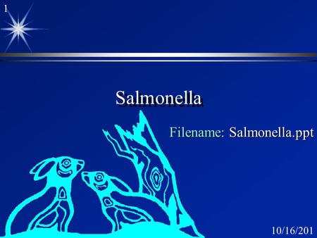 110/16/2015 Salmonella Filename: Salmonella.ppt. 210/16/2015 Salmonella ä Nomenclature ä Incidence ä Clinical syndromes ä gastroenteritis ä typhoid fever.