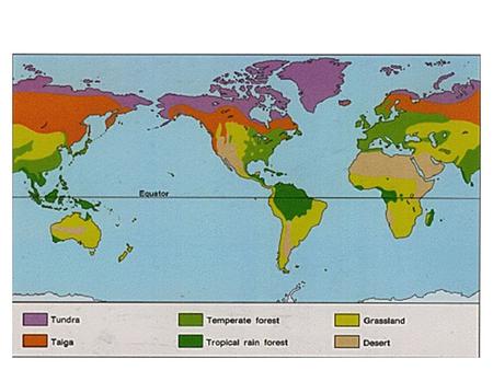 Land Biomes. Tundra Found in parts of Canada, Alaska, and Siberia.