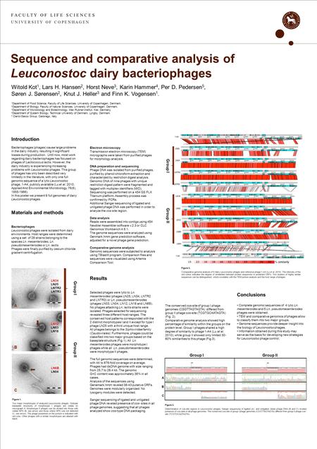 F A C U L T Y O F L I F E S C I E N C E S U N I V E R S I T Y O F C O P E N H A G E N Sequence and comparative analysis of Leuconostoc dairy bacteriophages.