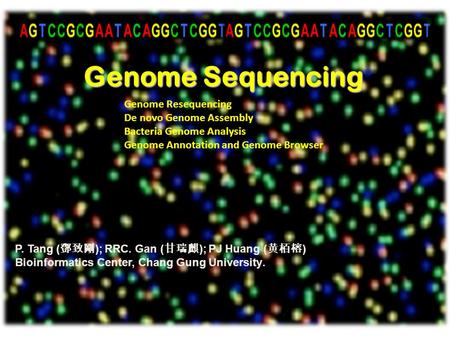 P. Tang ( 鄧致剛 ); RRC. Gan ( 甘瑞麒 ); PJ Huang ( 黄栢榕 ) Bioinformatics Center, Chang Gung University. Genome Sequencing Genome Resequencing De novo Genome.