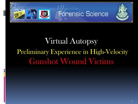 Virtual Autopsy Preliminary Experience in High-Velocity Gunshot Wound Victims 1.