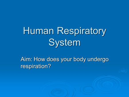 Human Respiratory System Aim: How does your body undergo respiration?