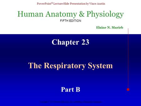 The Respiratory System