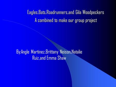 Eagles,Bats,Roadrunners,and Gila Woodpeckers A combined to make our group project By:Angle Martinez,Brittany Neison,Natalie Ruiz,and Emma Shaw.