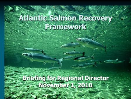 Atlantic Salmon Recovery Framework Briefing for Regional Director November 1, 2010.