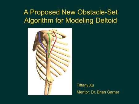 A Proposed New Obstacle-Set Algorithm for Modeling Deltoid Tiffany Xu Mentor: Dr. Brian Garner.