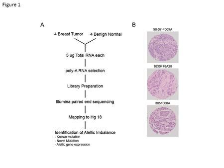 Figure 1. Figure 2 Somatic Mutation Summary 1030478A281050716A 3051000A98-07-F009a tumor mutant reads > 10 normal mutant read = 0 tumor mutant fraction.