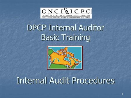 1 DPCP Internal Auditor Basic Training Internal Audit Procedures.