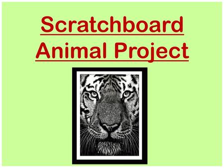 Scratchboard Animal Project