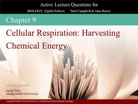 Cellular Respiration: Harvesting Chemical Energy