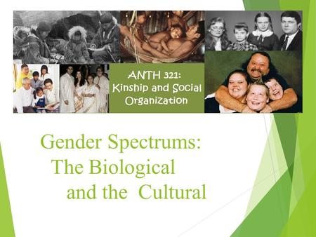 Gender Spectrums: The Biological and the Cultural.