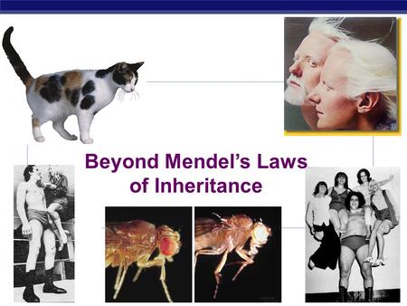 Beyond Mendel’s Laws of Inheritance