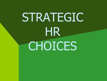 STRATEGIC HR CHOICES. STRATEGIC HR CHOICES: COMPENSATION  Internal vs. external equity  Fixed vs. variable pay  Performance vs. membership  Job vs.