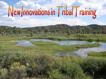 New Innovations in Tribal Training Paul Andrews – RTI International Michiko Burns – Southern Ute Tribe Dave Wilcox – Gold Systems Inc Austin, TX November.