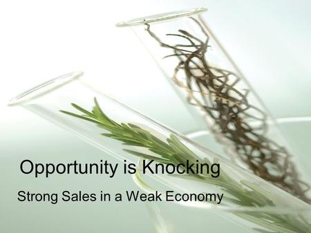 Opportunity is Knocking Strong Sales in a Weak Economy.