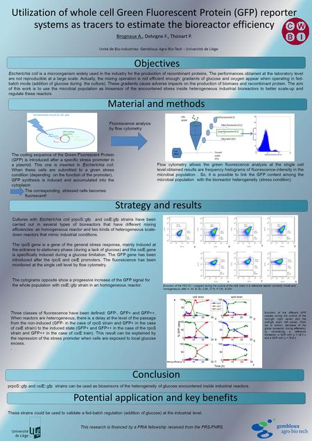 Utilization of whole cell Green Fluorescent Protein (GFP) reporter systems as tracers to estimate the bioreactor efficiency Brognaux A., Delvigne F., Thonart.