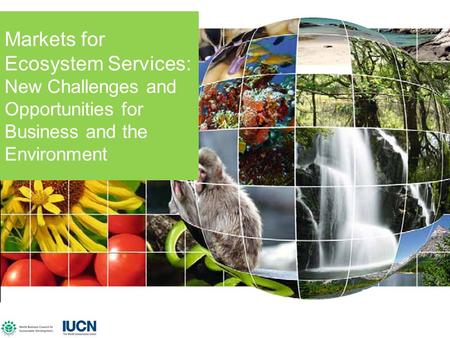 IUCN, WBCSD, Sep 2007 Markets for Ecosystem Services: New Challenges and Opportunities for Business and the Environment.