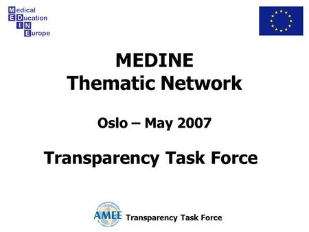 MEDINE Thematic Network Oslo – May 2007 Transparency Task Force.