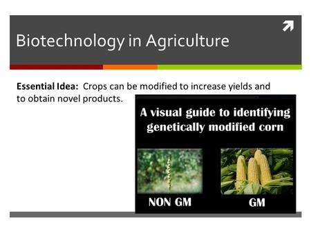  Biotechnology in Agriculture Essential Idea: Crops can be modified to increase yields and to obtain novel products.