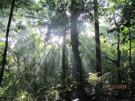 Basic Ecology Study of the interactions among ecosystem residents and their environment Residents… …individuals …populations …communities Ecology – the.