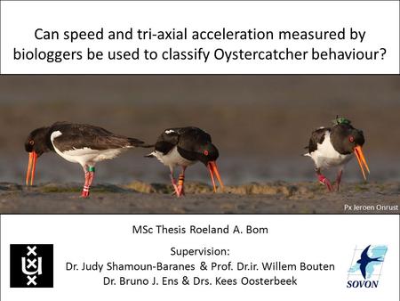 Can speed and tri-axial acceleration measured by biologgers be used to classify Oystercatcher behaviour? MSc Thesis Roeland A. Bom Supervision: Dr. Judy.