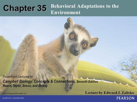 Behavioral Adaptations to the Environment