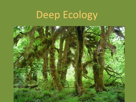 Deep Ecology. Presentations April 11: Hoi Kit, Lucy, Ka Hei April 16: Kathleen, Chad, Shashwati, Kuk Chun Ming April 18: Evelyn, Cloud, Matthew Final.