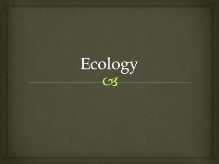  Review Test   Outside observations  Terms  Organization of living things  Experiments with ecology  Homework Note: you will be writing and answering.