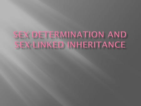 Xy = XX= female male Female karyotype Male karyotype.