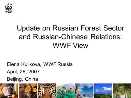 Update on Russian Forest Sector and Russian-Chinese Relations: WWF View Elena Kulikova, WWF Russia April, 26, 2007 Beijing, China.