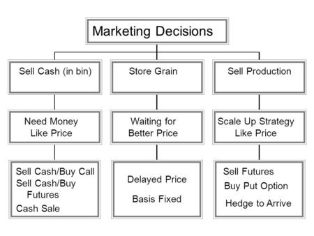 Sell Cash/Buy Call Sell Cash/Buy Futures Cash Sale Need Money Like Price Sell Cash (in bin) Delayed Price Basis Fixed Waiting for Better Price Store Grain.