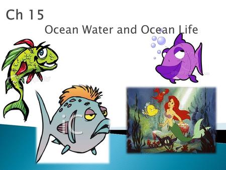 Ocean Water and Ocean Life