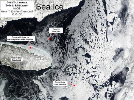 1 Sea Ice. 2 Definition: Sea ice is a thin layer of ice floating on the sea surface that forms when the temperature of the water falls below its freezing.